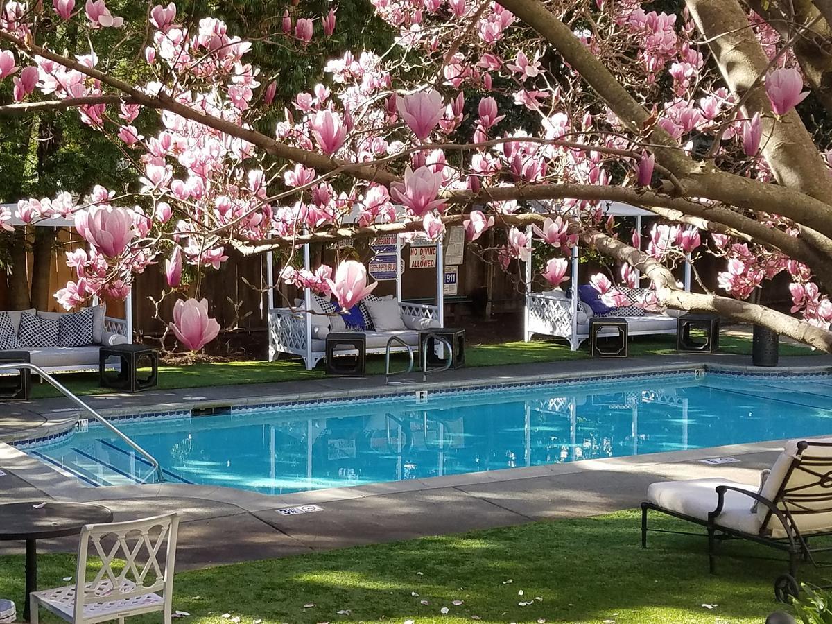 The White House Napa Valley 외부 사진